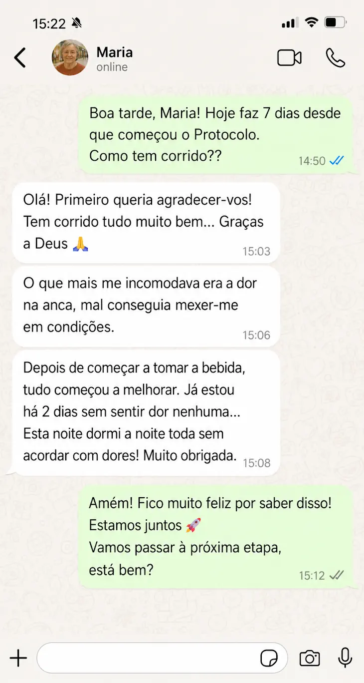 Conversa WhatsApp